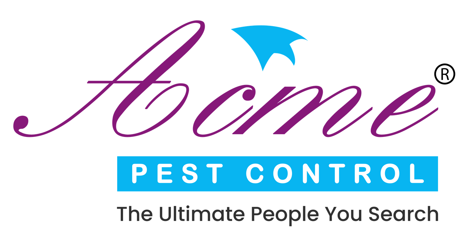Pest Control Chennai